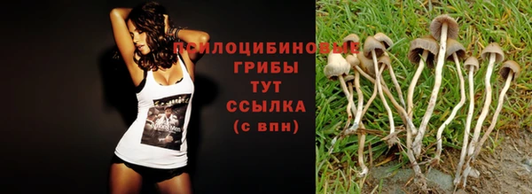 гашишное масло Инта